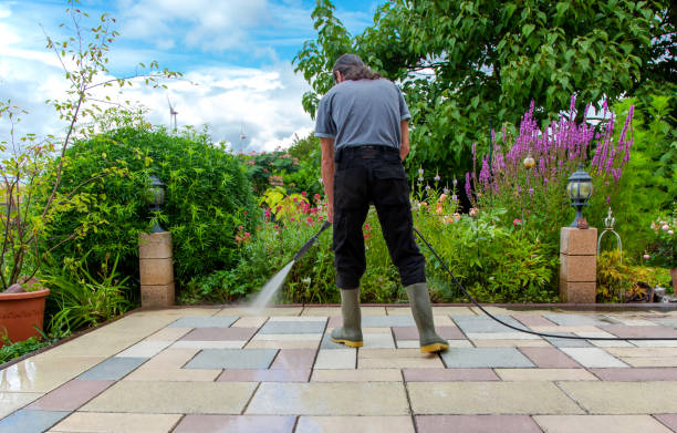 Best Patio and Deck Pressure Washing  in Holly Springs, MS