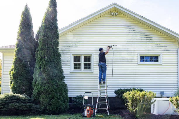 Best Gutter Cleaning  in Holly Springs, MS